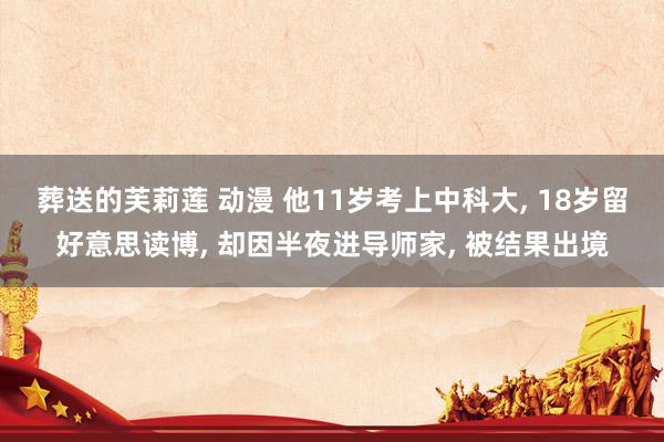 葬送的芙莉莲 动漫 他11岁考上中科大, 18岁留好意思读博, 却因半夜进导师家, 被结果出境