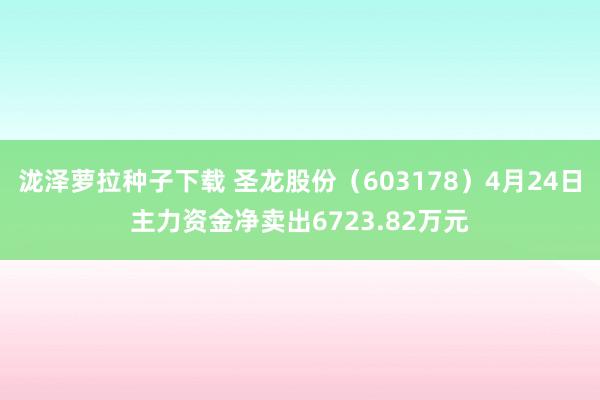 泷泽萝拉种子下载 圣龙股份（603178）4月24日主力资金净卖出6723.82万元