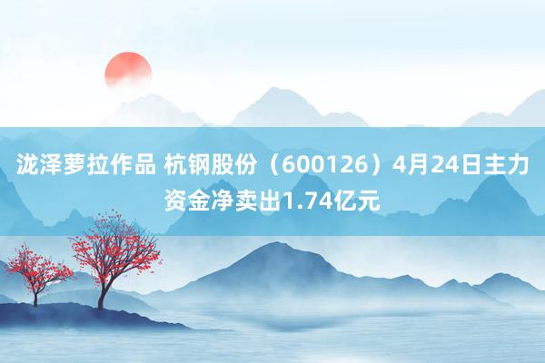 泷泽萝拉作品 杭钢股份（600126）4月24日主力资金净卖出1.74亿元
