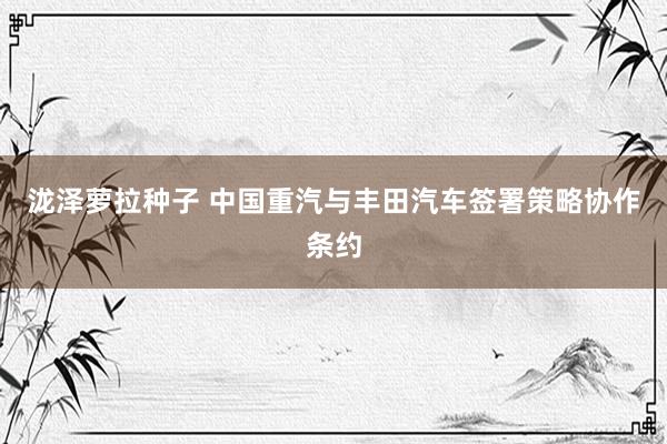泷泽萝拉种子 中国重汽与丰田汽车签署策略协作条约