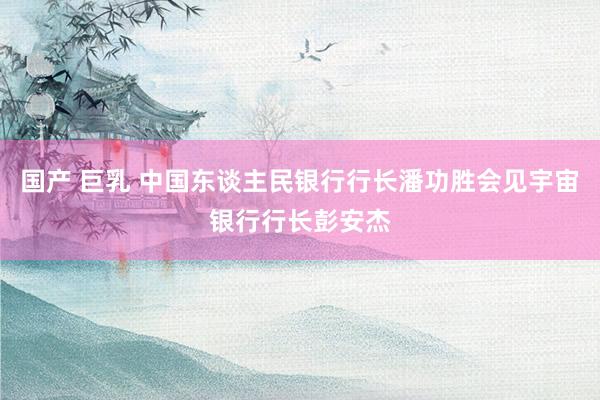 国产 巨乳 中国东谈主民银行行长潘功胜会见宇宙银行行长彭安杰