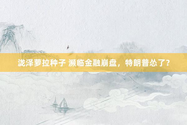 泷泽萝拉种子 濒临金融崩盘，特朗普怂了？